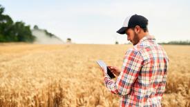 В России планируют создать платформу для ускоренной селекции растений